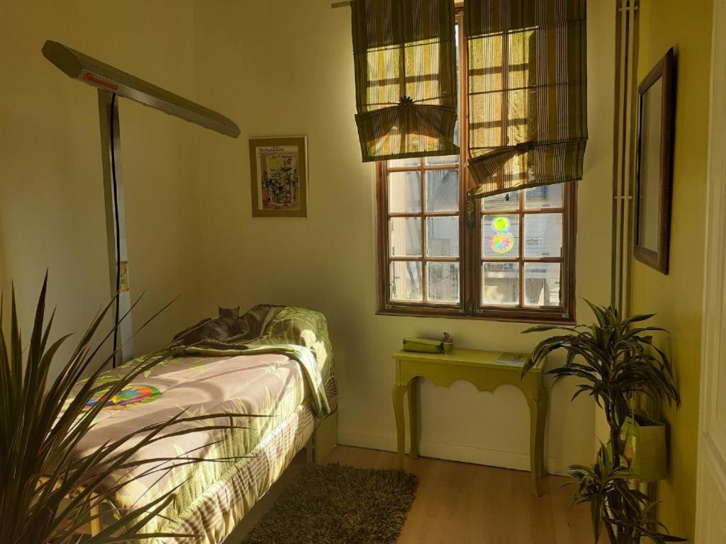 Maison D'Hotes Archangels Home Saint-Saëns Eksteriør billede